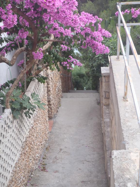 Apartments Villa Stari Koko Omiš Esterno foto